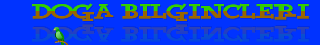 Bilginçler